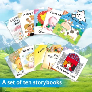 Set of 10 English children's storybooks